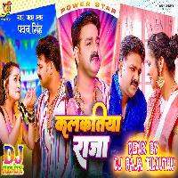 Kalkatiya Raja (Pawan Singh) Dj Raja Tilouthu